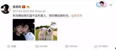 吃瓜娱乐张翰视频